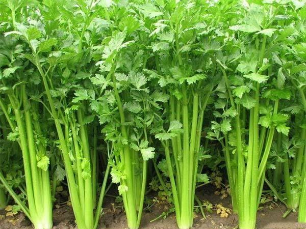 北京提供食堂对外承包价格